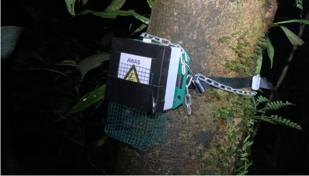 Passive acoustic monitoring in Bornean tropical forests: some ...