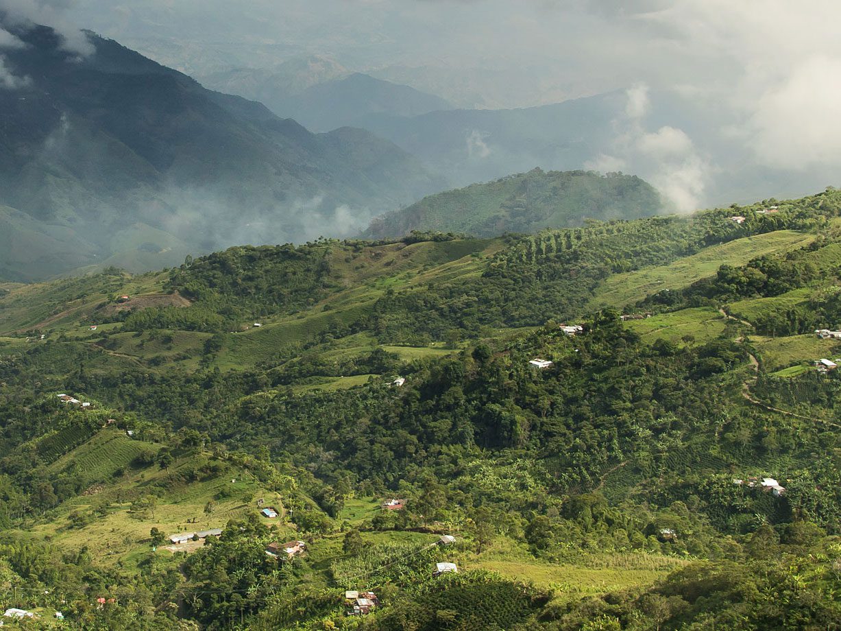 Colombia landscape, in coffee story