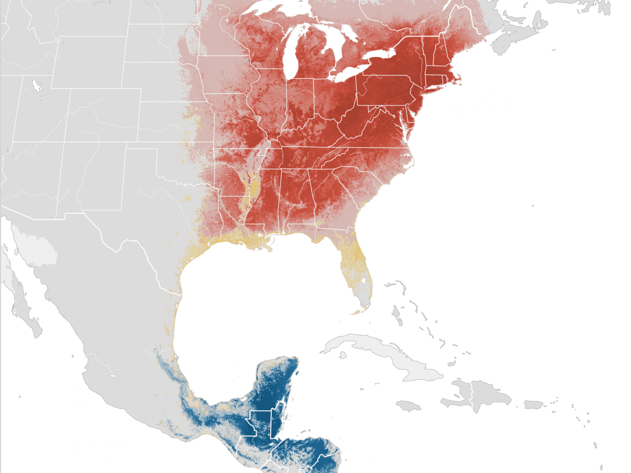 Wood Thrush abundance map, eBird status and trends