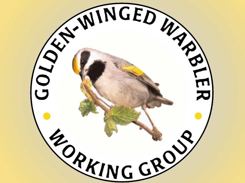 Golden-winged Warbler working group logo