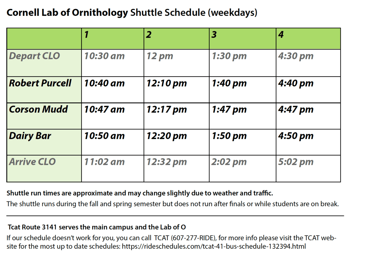 Campus Shuttle and TCAT Bus Schedules Birds, Cornell Lab of Ornithology