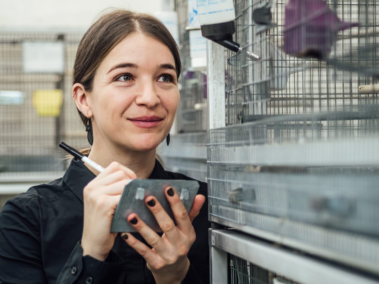 Leanne Grieves | Birds, Cornell Lab of Ornithology