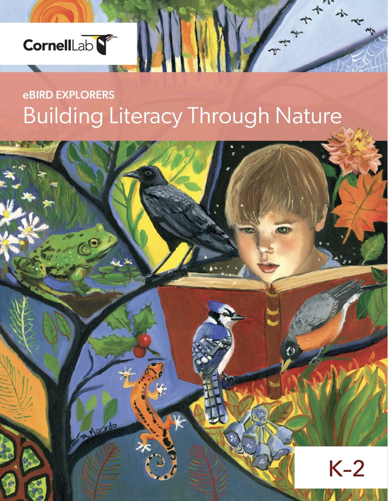 Photo shows the eBird K-2 cover for "Building Literacy Through Nature" Depicted is a child reading a book surrounded by images of wildlife they have discovered by learning from this kit.