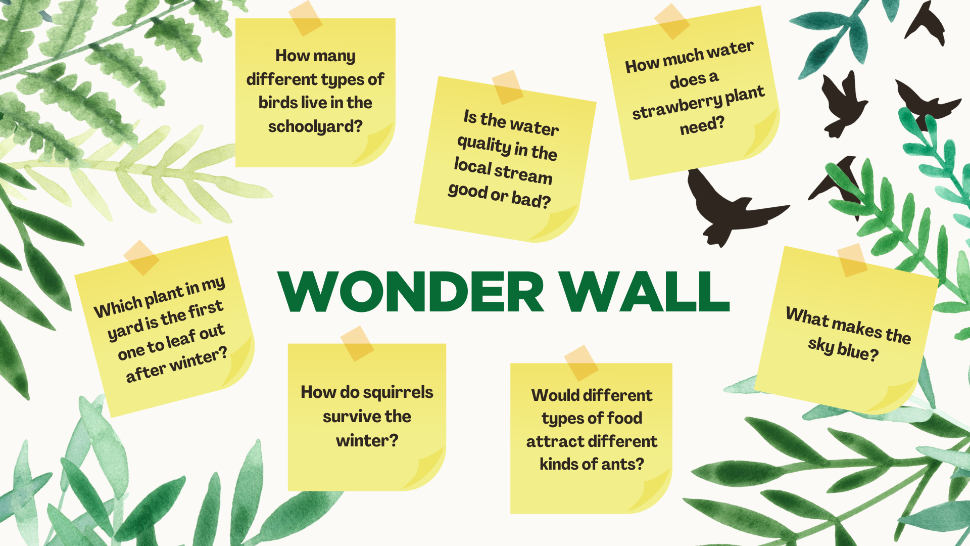 Example of a Wonder Wall with curious questions posed by students.